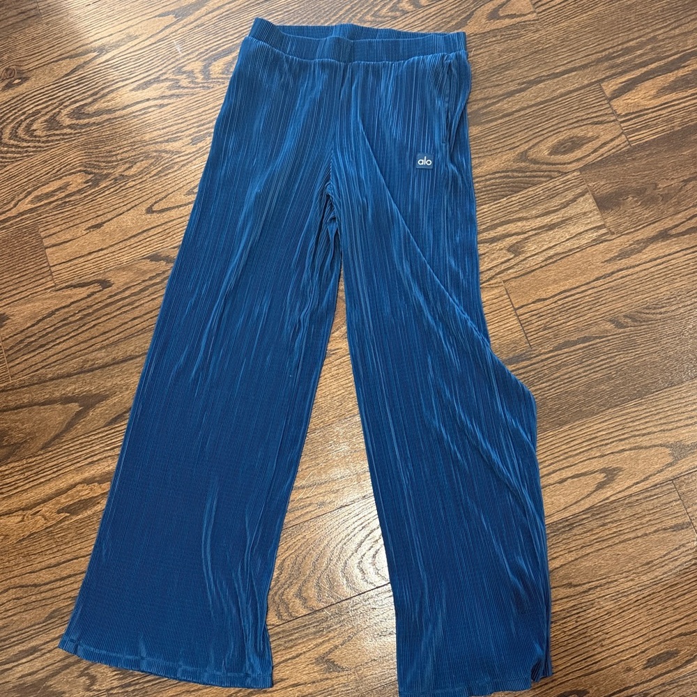 Alo Plisse pants size large